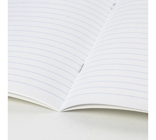 Тетрадь ЗЕЛЁНАЯ обложка 24 л., линия с полями, офсет, 