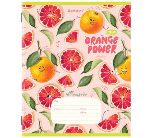 Тетрадь 12 л. BRAUBERG, клетка, обложка картон, 