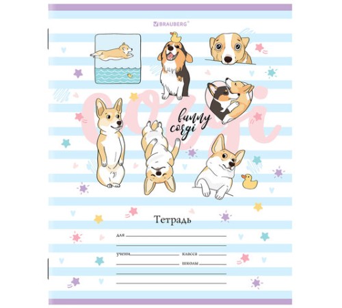 Тетрадь 12 л. BRAUBERG, клетка, обложка картон, 