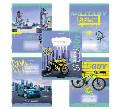 Тетрадь 12 л. BRAUBERG, клетка, обложка картон, 