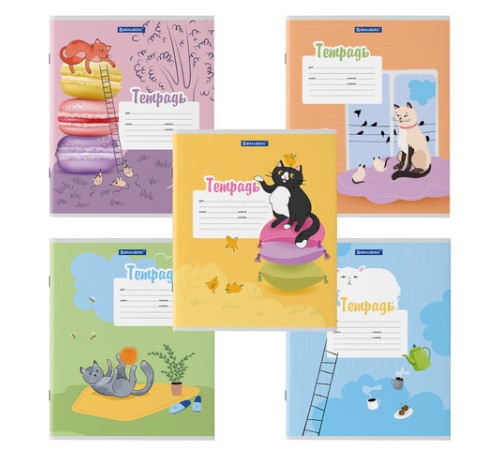 Тетрадь 12 л. BRAUBERG, линия, обложка картон, 