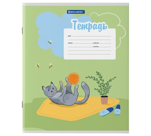Тетрадь 12 л. BRAUBERG, линия, обложка картон, 