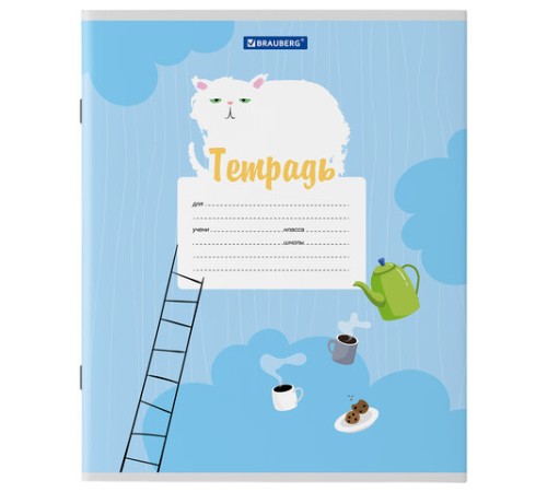 Тетрадь 12 л. BRAUBERG, линия, обложка картон, 