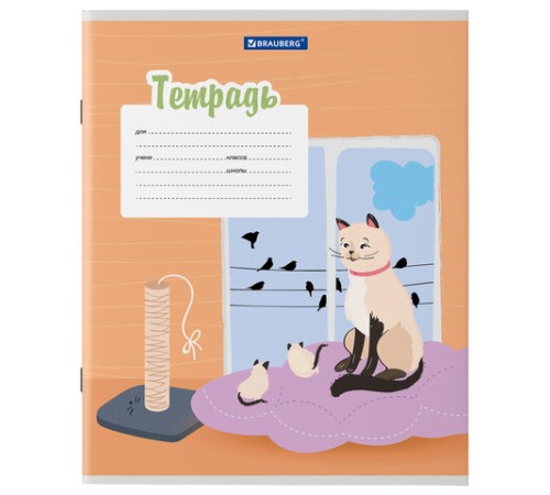 Тетрадь 12 л. BRAUBERG, линия, обложка картон, 