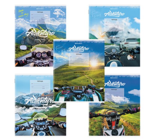 Тетрадь 12 л. BRAUBERG, линия, обложка картон, 