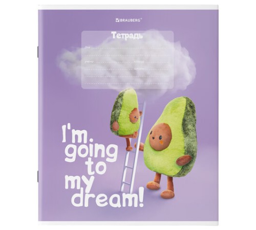 Тетрадь 18 л. BRAUBERG клетка, обложка картон, 