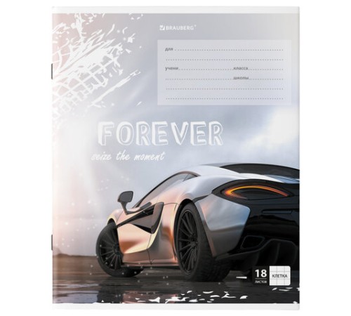 Тетрадь 18 л. BRAUBERG клетка, обложка картон, 