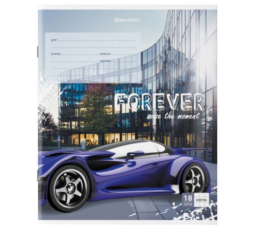 Тетрадь 18 л. BRAUBERG клетка, обложка картон, 