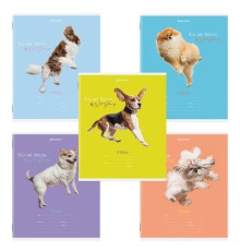 Тетрадь 18 л. BRAUBERG линия, обложка картон, 