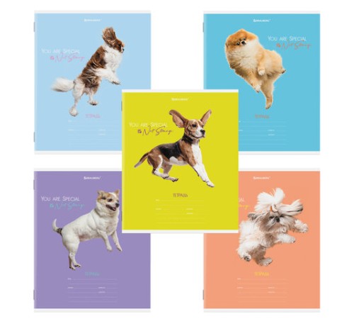 Тетрадь 18 л. BRAUBERG линия, обложка картон, 