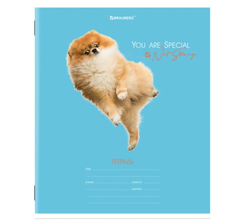 Тетрадь 18 л. BRAUBERG линия, обложка картон, 