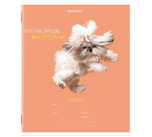 Тетрадь 18 л. BRAUBERG линия, обложка картон, 
