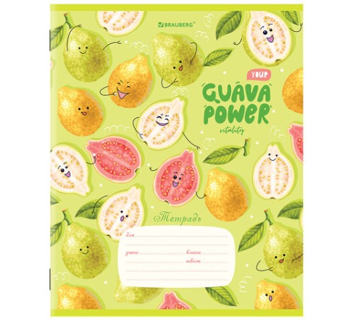 Тетрадь 18 л. BRAUBERG линия, обложка картон, 