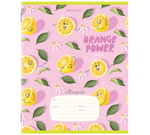 Тетрадь 18 л. BRAUBERG линия, обложка картон, 