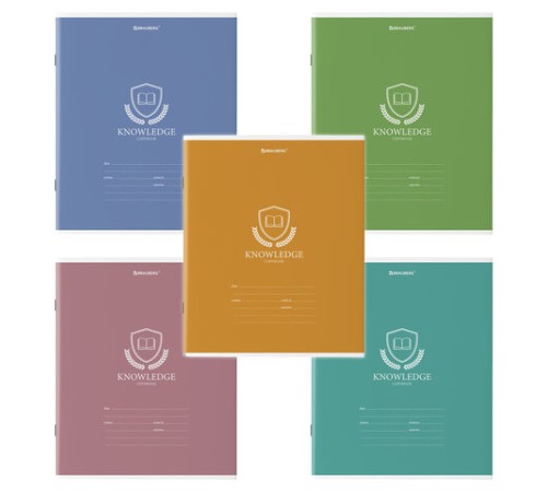 Тетрадь 18 л. BRAUBERG линия, обложка картон, 