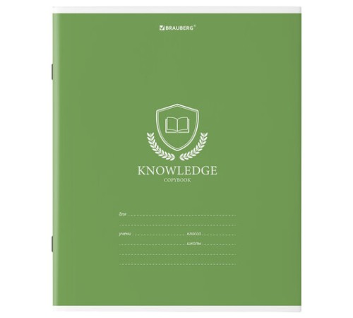 Тетрадь 18 л. BRAUBERG линия, обложка картон, 