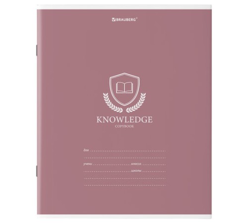 Тетрадь 18 л. BRAUBERG линия, обложка картон, 