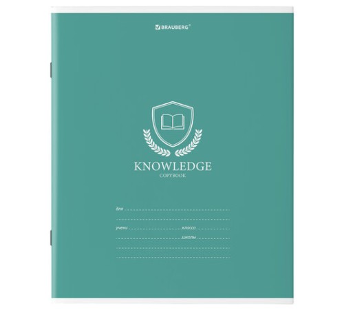 Тетрадь 18 л. BRAUBERG линия, обложка картон, 