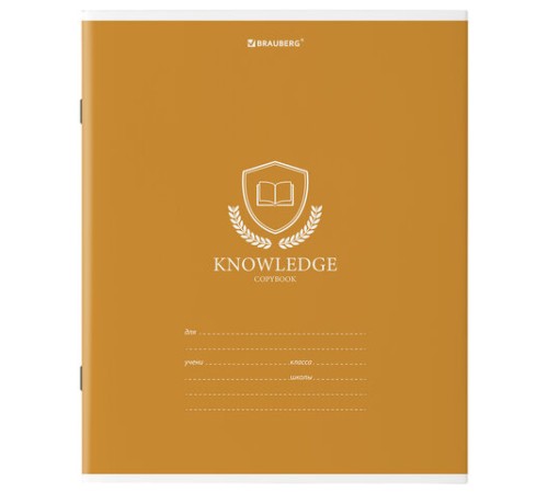 Тетрадь 18 л. BRAUBERG линия, обложка картон, 