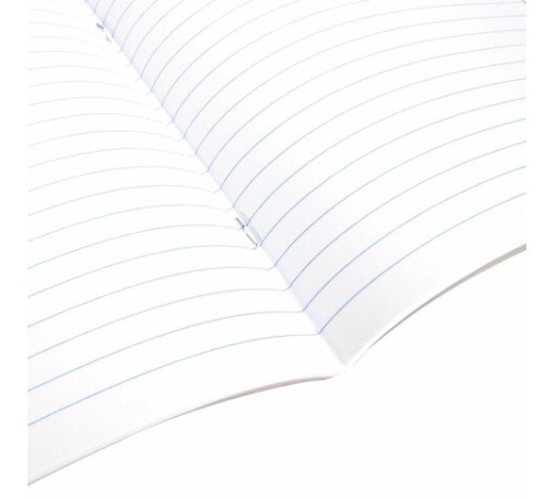 Тетрадь 18 л. BRAUBERG линия, обложка картон, 