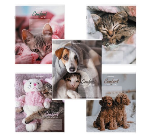 Тетрадь 24 л. BRAUBERG клетка, обложка картон, 