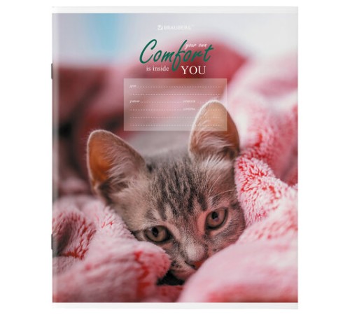 Тетрадь 24 л. BRAUBERG клетка, обложка картон, 