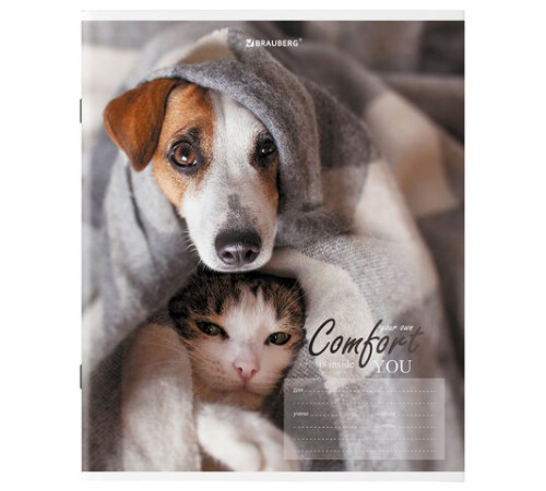 Тетрадь 24 л. BRAUBERG клетка, обложка картон, 