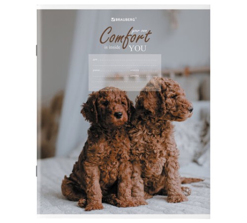 Тетрадь 24 л. BRAUBERG клетка, обложка картон, 