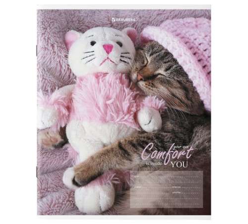 Тетрадь 24 л. BRAUBERG клетка, обложка картон, 