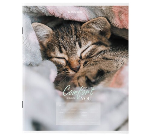 Тетрадь 24 л. BRAUBERG клетка, обложка картон, 