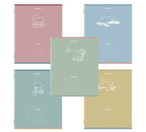 Тетрадь 24 л. BRAUBERG клетка, обложка картон, 