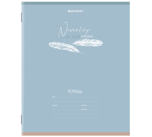 Тетрадь 24 л. BRAUBERG клетка, обложка картон, 