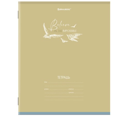 Тетрадь 24 л. BRAUBERG клетка, обложка картон, 