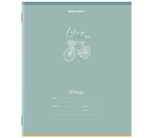 Тетрадь 24 л. BRAUBERG клетка, обложка картон, 