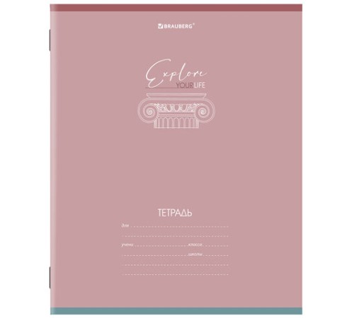 Тетрадь 24 л. BRAUBERG клетка, обложка картон, 