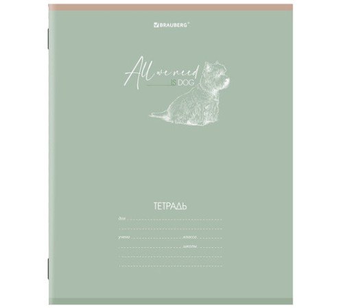 Тетрадь 24 л. BRAUBERG клетка, обложка картон, 