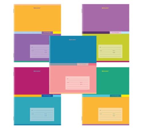 Тетрадь 24 л. BRAUBERG линия, обложка картон, 