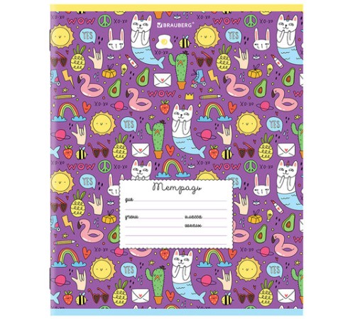 Тетрадь 24 л. BRAUBERG линия, обложка картон, 