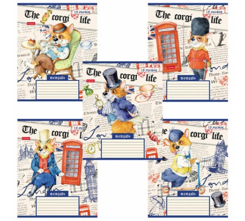 Тетрадь 18 л. HATBER клетка, обложка картон, 