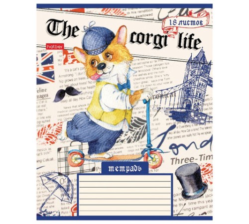 Тетрадь 18 л. HATBER клетка, обложка картон, 