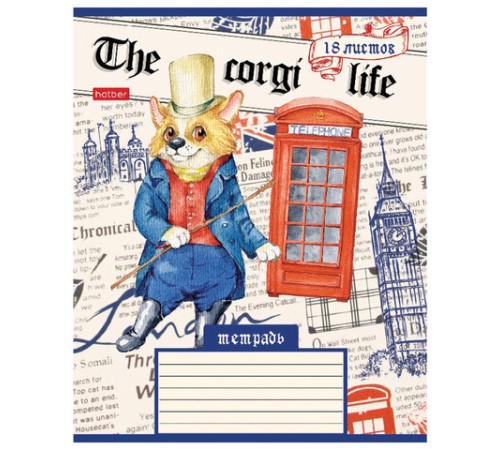 Тетрадь 18 л. HATBER клетка, обложка картон, 