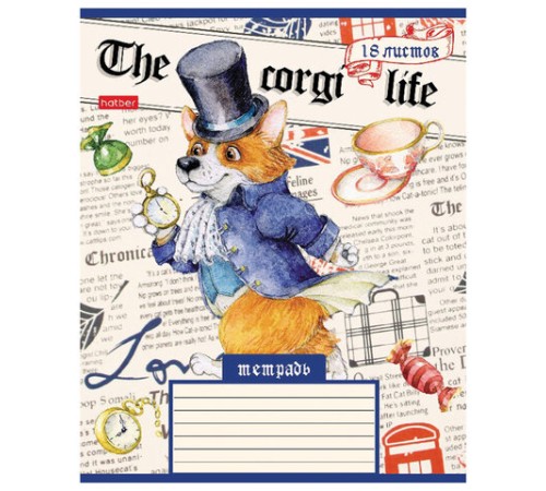 Тетрадь 18 л. HATBER клетка, обложка картон, 