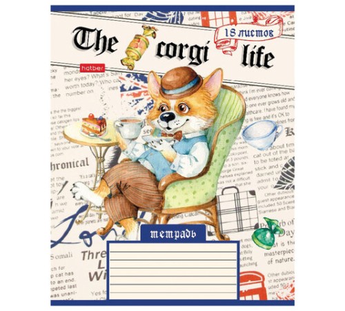 Тетрадь 18 л. HATBER клетка, обложка картон, 