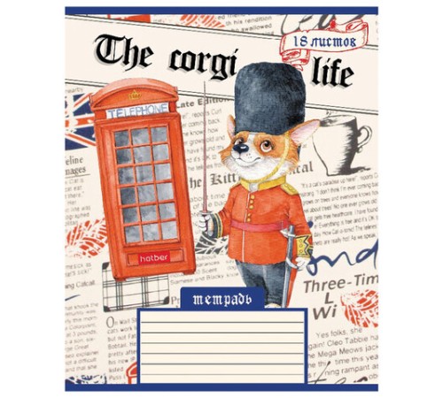 Тетрадь 18 л. HATBER клетка, обложка картон, 