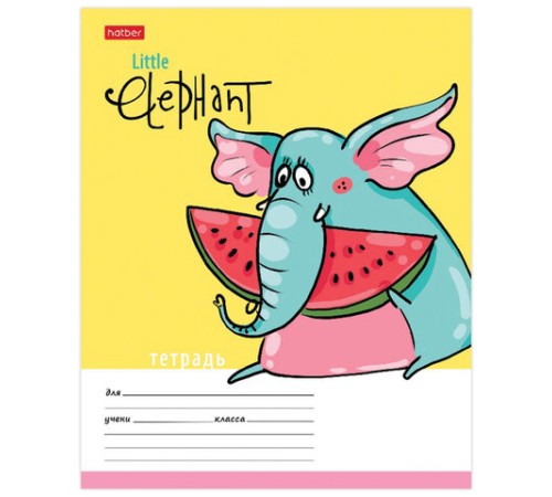 Тетрадь 12 л. HATBER клетка, обложка картон, 
