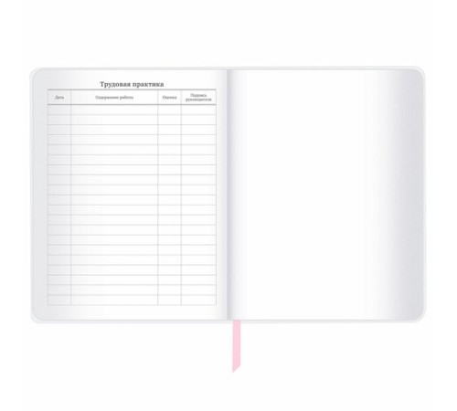 Дневник 1-11 класс 48 л., кожзам (твердая), магнитный клапан, ЮНЛАНДИЯ, 