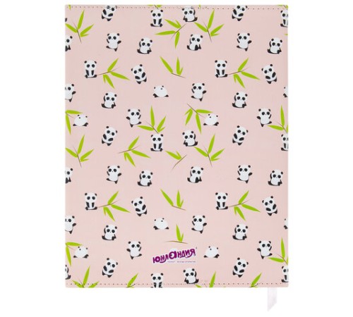 Дневник 1-11 класс 48 л., кожзам (твердая), магнитный клапан, ЮНЛАНДИЯ, 