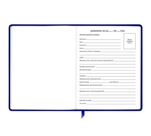 Дневник 1-11 класс 48 л., кожзам (твердая с поролоном), фольга, BRAUBERG HOLIDAY, 