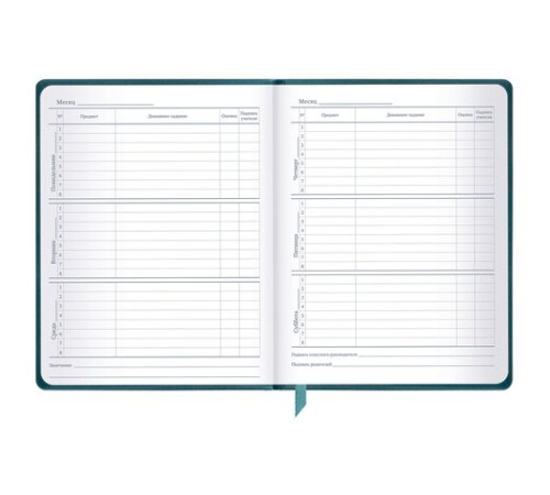 Дневник 1-11 класс 48 л., кожзам (твердая), печать, резинка, конверт, BRAUBERG, 