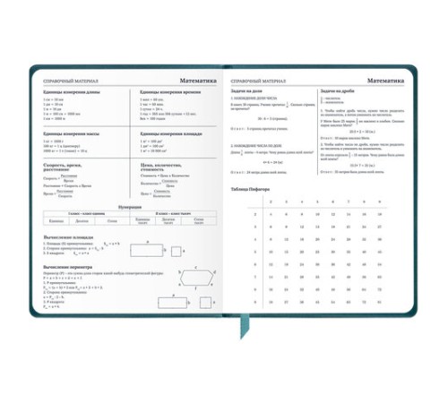 Дневник 1-11 класс 48 л., кожзам (твердая), печать, резинка, конверт, BRAUBERG, 